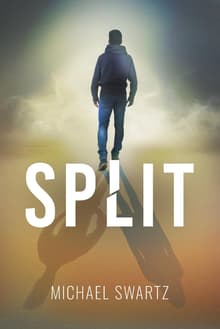 Book cover of Split