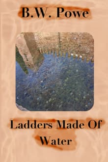 Book cover of Ladders Made of Water