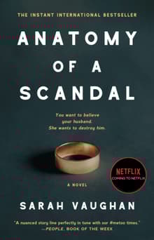 Book cover of Anatomy of a Scandal