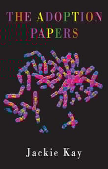 Book cover of The Adoption Papers