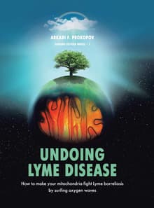 Book cover of Undoing Lyme Disease