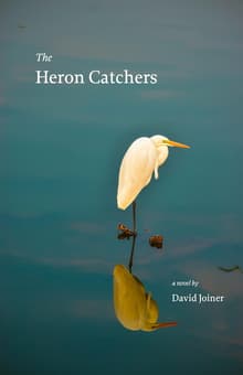 Book cover of The Heron Catchers