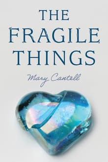 Book cover of The Fragile Things