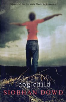 Book cover of Bog Child