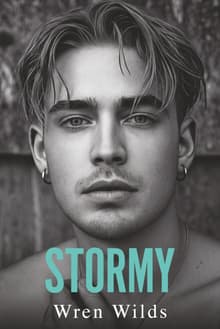 Book cover of Stormy