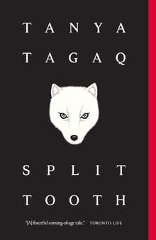 Book cover of Split Tooth