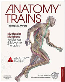 Book cover of Anatomy Trains: Myofascial Meridians for Manual Therapists and Movement Professionals