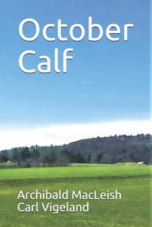 Book cover of October Calf