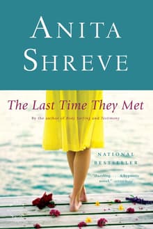 Book cover of The Last Time They Met