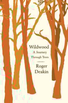 Book cover of Wildwood