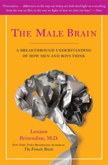 Book cover of The Male Brain