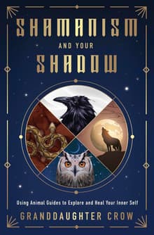 Book cover of Shamanism and Your Shadow
