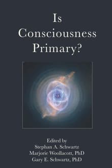 Book cover of Is Consciousness Primary?