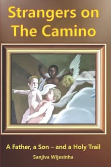 Book cover of Strangers on the Camino: Father, Son - and Holy Trail