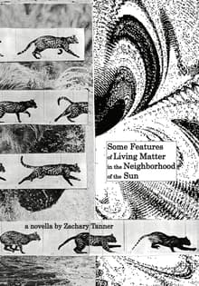 Book cover of Some Features of Living Matter in the Neighborhood of the Sun