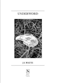 Book cover of Underword