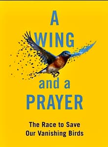 Book cover of A Wing and a Prayer: The Race to Save Our Vanishing Birds