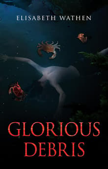Book cover of Glorious Debris