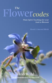 Book cover of The Flower Codes