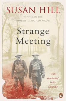 Book cover of Strange Meeting