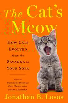 Book cover of The Cat's Meow: How Cats Evolved from the Savanna to Your Sofa