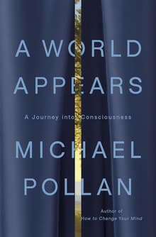 Book cover of A World Appears