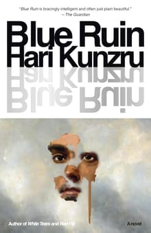 Book cover of Blue Ruin