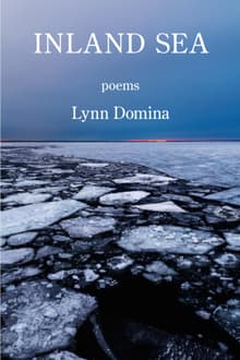 Book cover of Inland Sea
