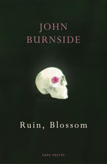 Book cover of Ruin, Blossom