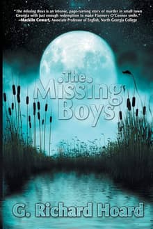 Book cover of The Missing Boys