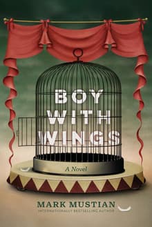 Book cover of Boy With Wings