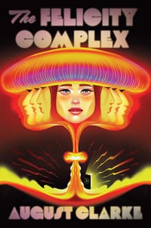 Book cover of The Felicity Complex