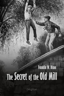 Book cover of The Secret of the Old Mill