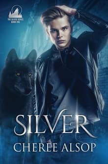 Book cover of Silver