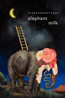 Book cover of Elephant Milk