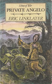 Book cover of Private Angelo