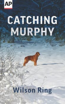 Book cover of Catching Murphy