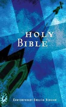 Book cover of Holy Bible