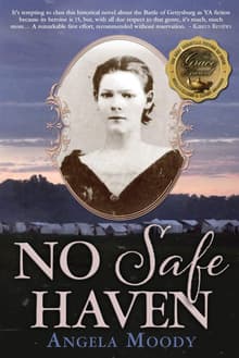 Book cover of No Safe Haven
