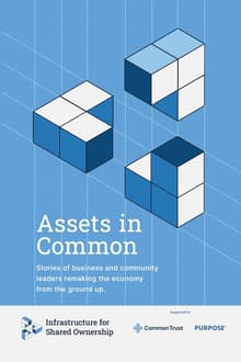 Book cover of Assets in Common