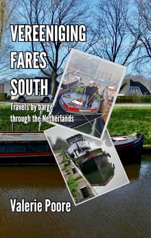 Book cover of Vereeniging Fares South