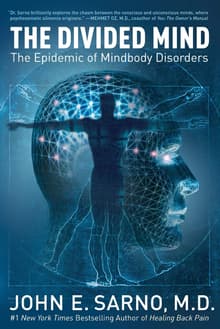 Book cover of The Divided Mind