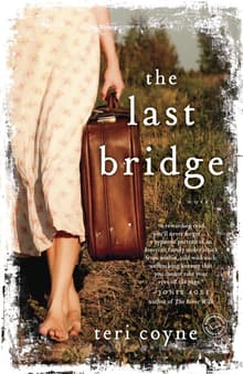 Book cover of The Last Bridge