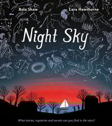 Book cover of Night Sky
