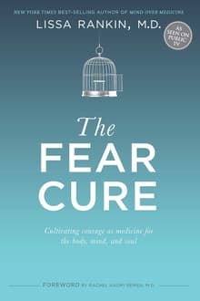 Book cover of The Fear Cure