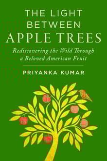 Book cover of The Light Between Apple Trees