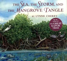Book cover of The Sea, the Storm, and the Mangrove Tangle