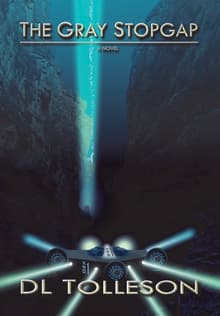 Book cover of The Gray Stopgap