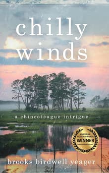 Book cover of Chilly Winds