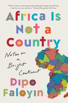 Book cover of Africa Is Not a Country